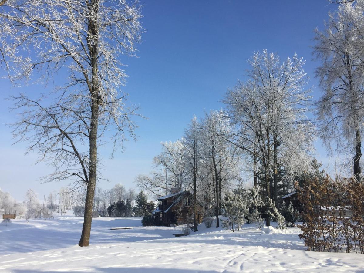 Namelis Prie Sirvintos Upes Su Pirtimi Villa Exterior foto